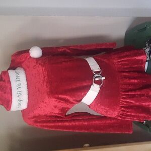 🧑‍🎄 Crushed Velvet Tunic with Hat